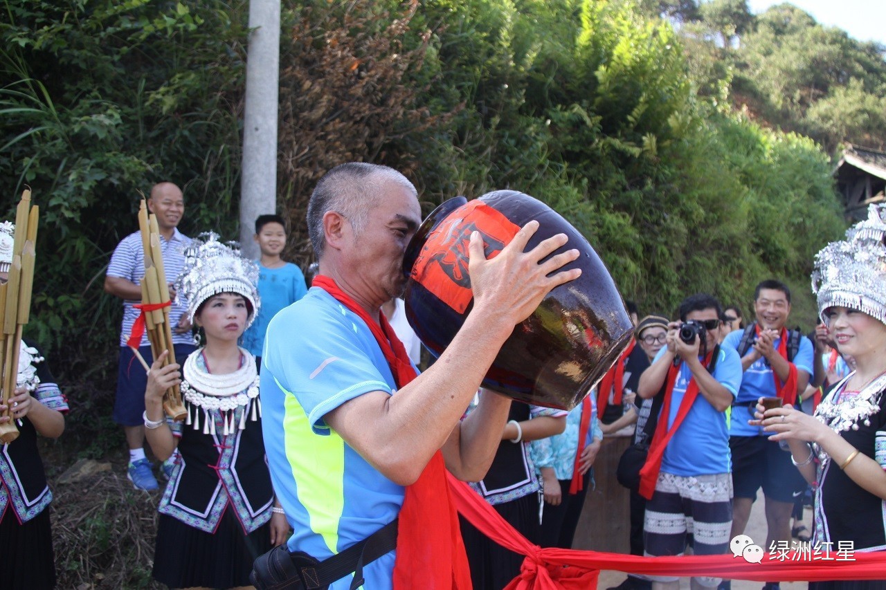 县委副书记吴韬,副县长唐艳,黄桑保护处处长陆雄峰等领导参加活动