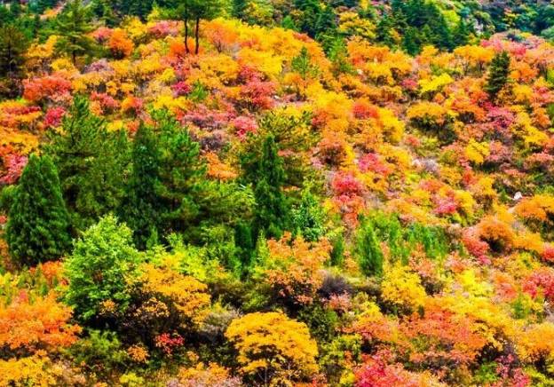 仙台山座落於井陘縣西北部的辛莊鄉境內,是一處以山峰,溶洞,森林,山泉