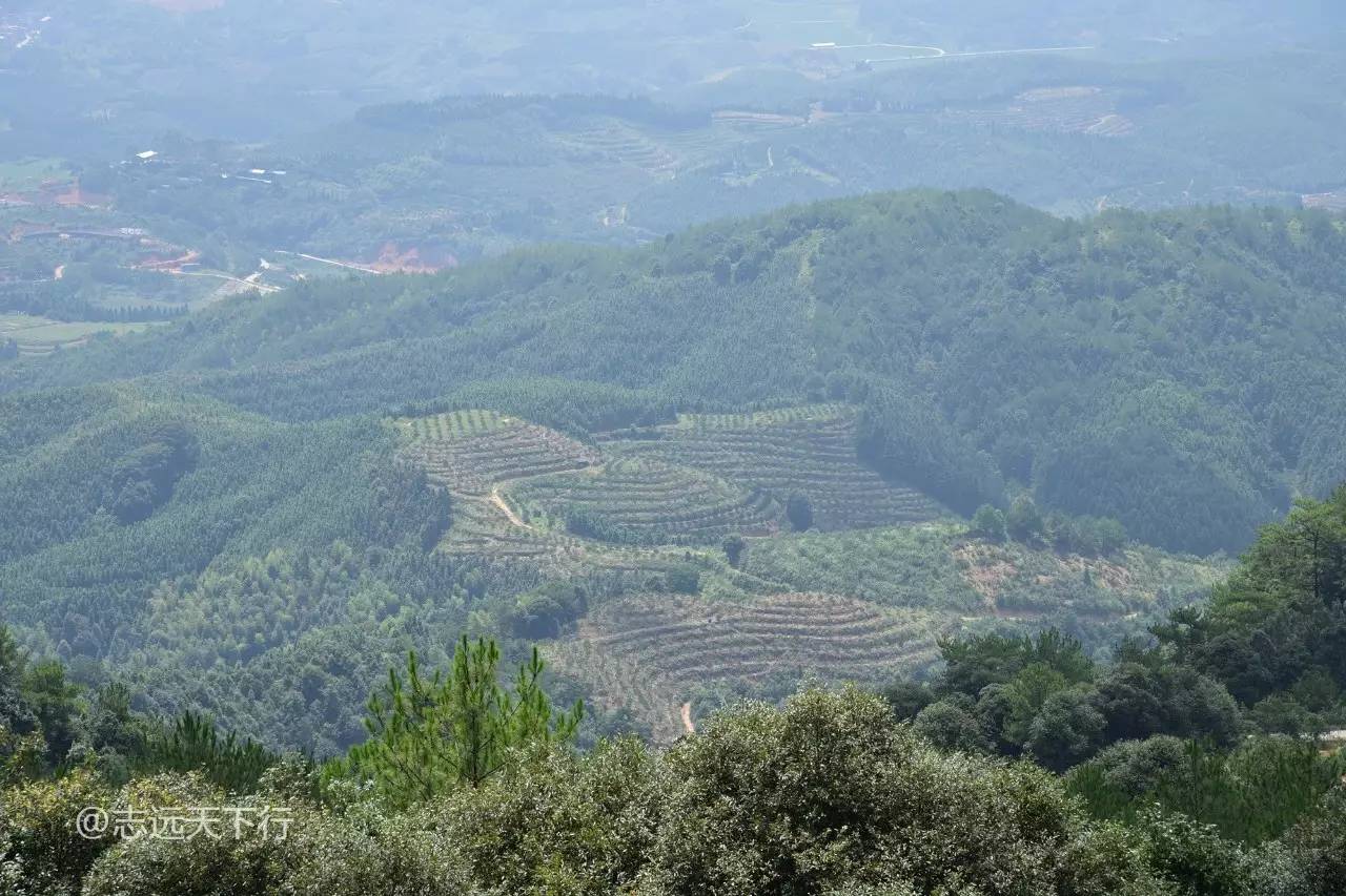 登尤溪枕头山,赏福建版的"黄山云海"