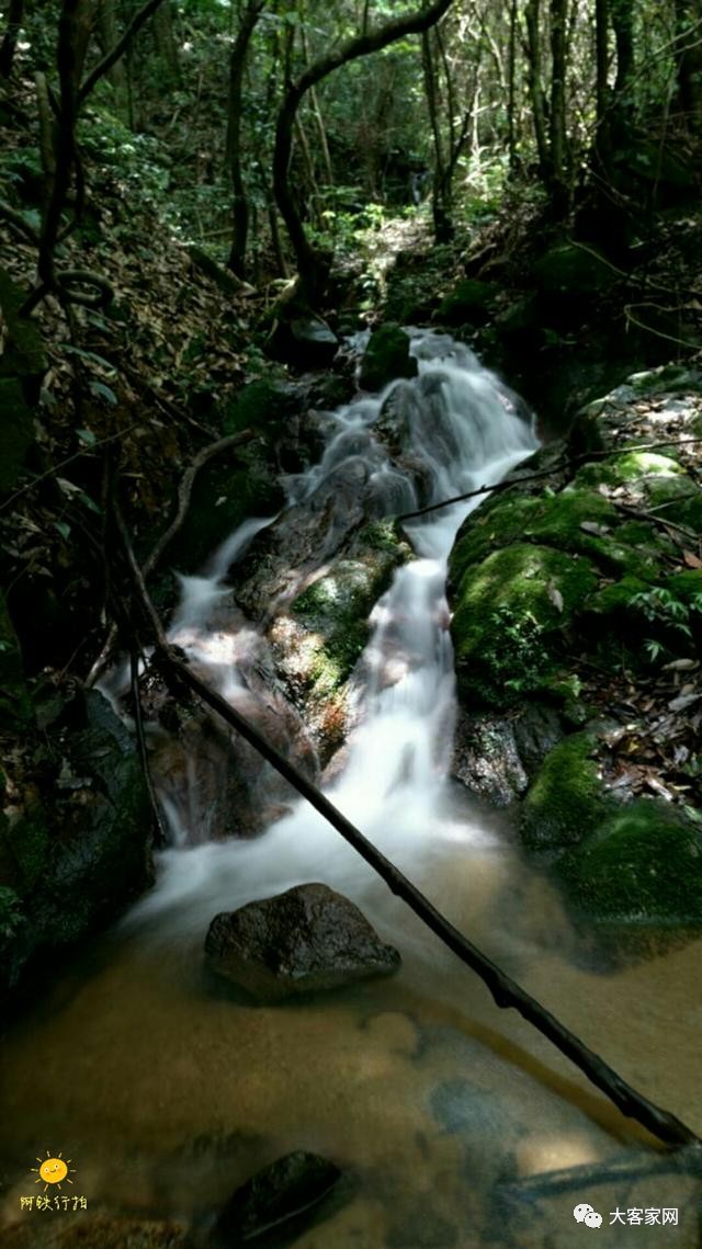 平遠八尺角山嶂公王壇上風景佳伯公樹旁溪流美