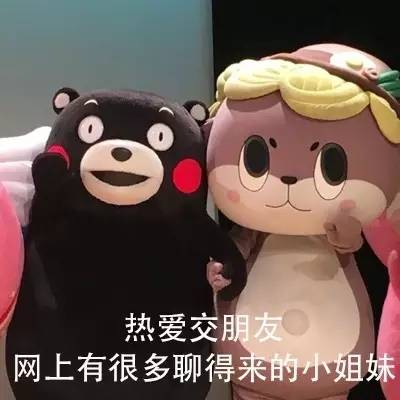 追星女孩表情包素材图片