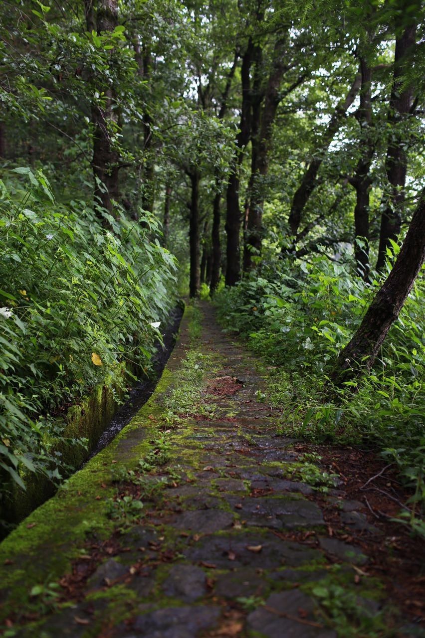 遊山指南和沒有山林的夏天絕交