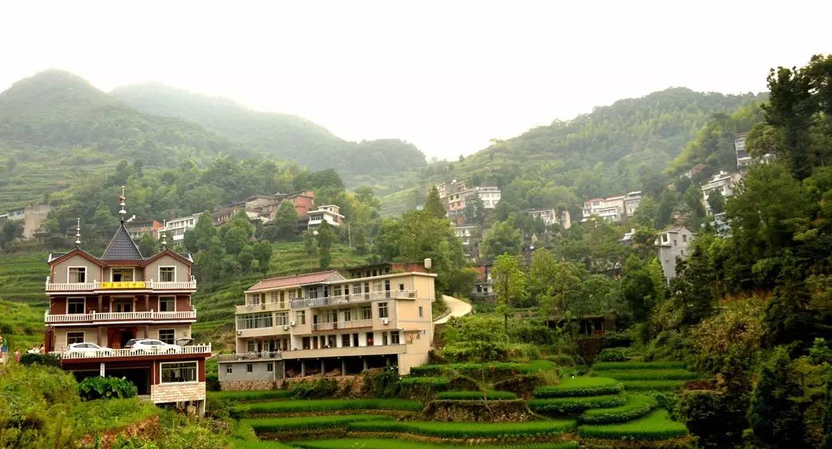 带着这些疑问,我们走进天台县三合镇文岙村,解密这个山岙里的古村落的