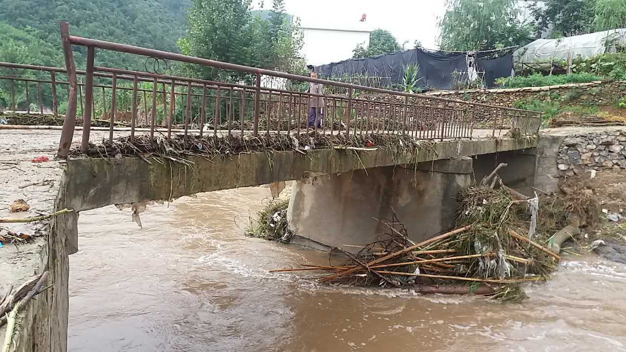 商南青山镇:多措并举抗洪灾 全力以赴搞自救