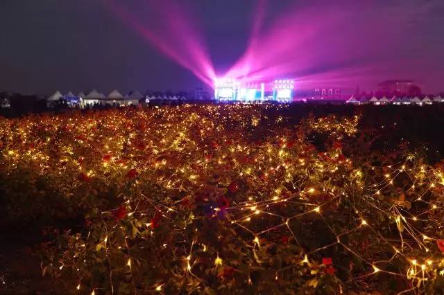 横跨七夕中秋国庆的灯光音乐节,给上海的夜空画上新颜色!