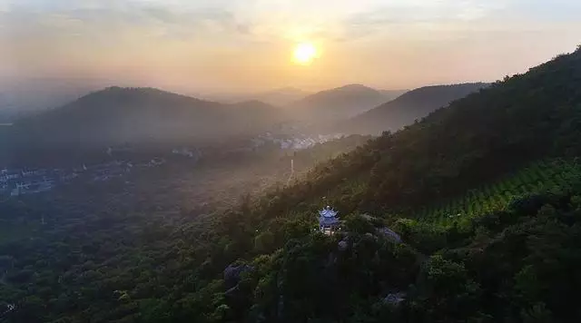 愛喝茶的嚴傑,獨愛樹山的雲泉茶