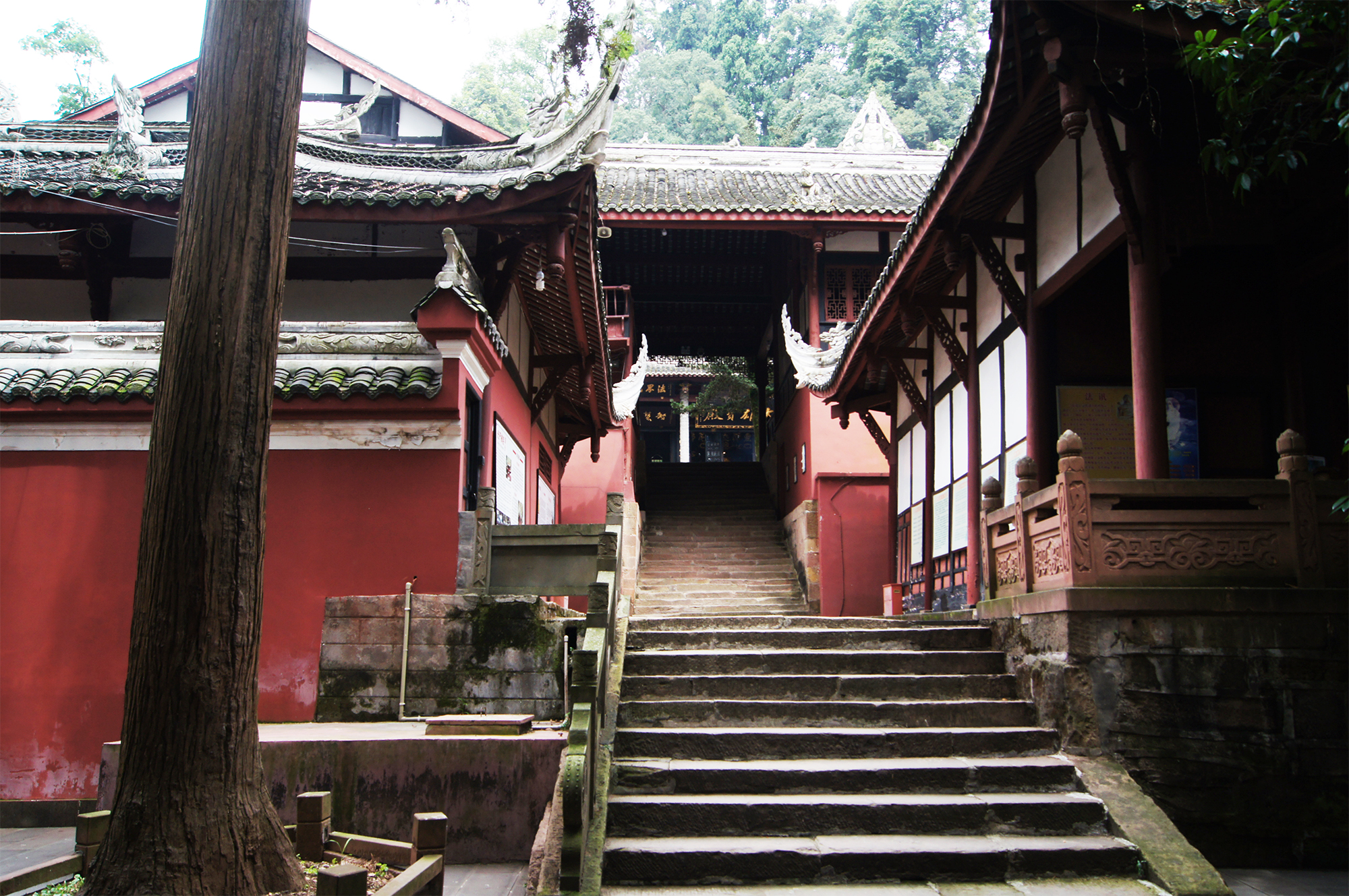 深山藏古寺 青城山旁竟藏着一座高颜值皇家寺院