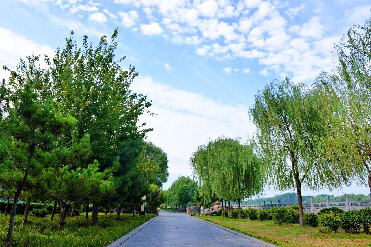 藍天與白雲,青山配綠水,這樣的龍門石窟你見過嗎?