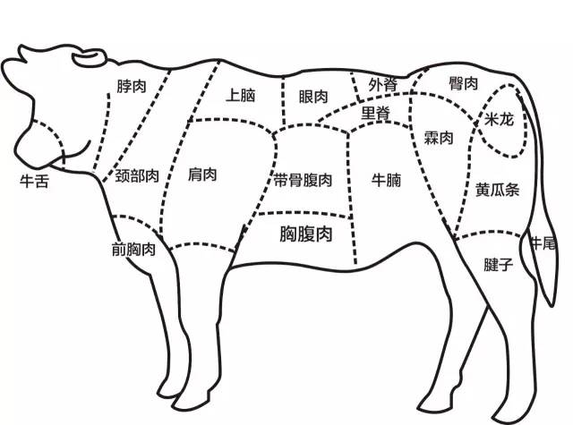牛肉各个部位名称图解图片