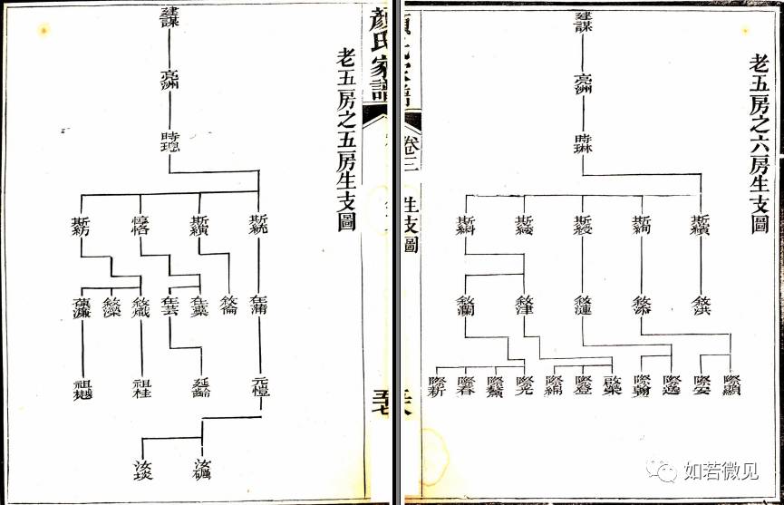 安平【颜氏迁粤族谱】之世系图