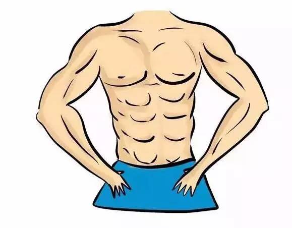如何让你的体脂少到可以看见腹肌
