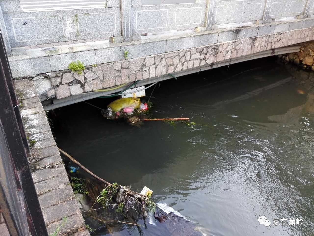 好惡心!蕉城碧水街恆塔大道橋底下驚現.