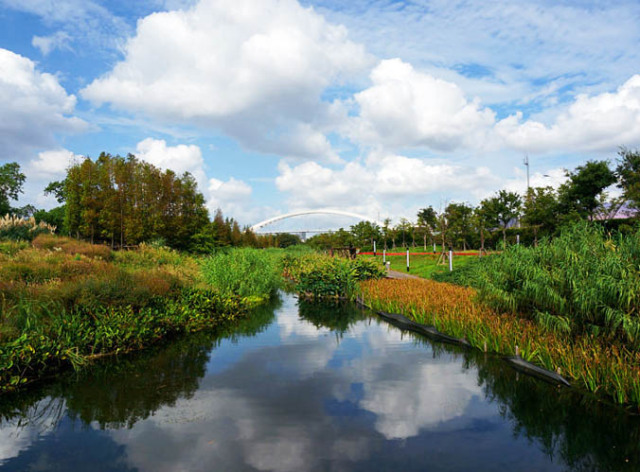 上海浦東新區天佑市政有限公司豆香園養護單位:上海浦東東道園綜合