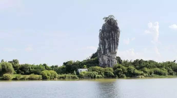 阳春鱼王石湿地公园图片