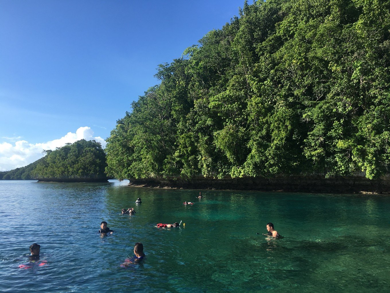 在帕勞還能做天然的spa,牛奶湖的海底下蘊藏著大量的火山泥,富含豐富