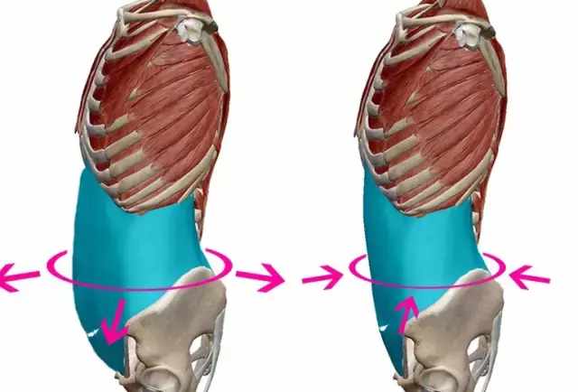 1,你是否腹横肌松弛无力?那么下面咱们开始一步步自我检查,定制自己的