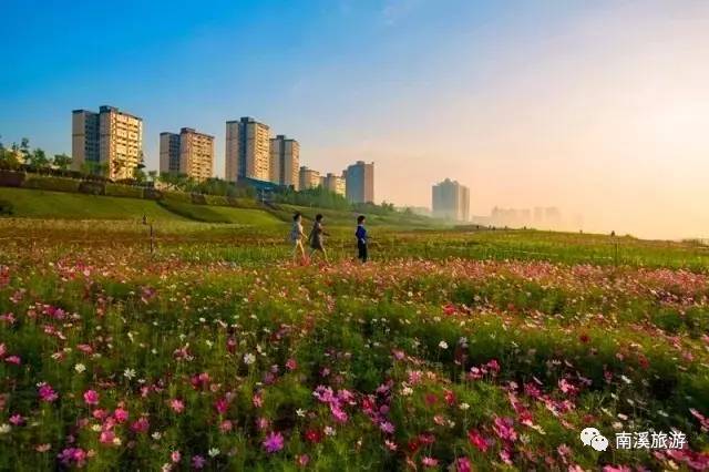 长江湿地公园位于南溪区滨江新城长江北岸,全长约3.