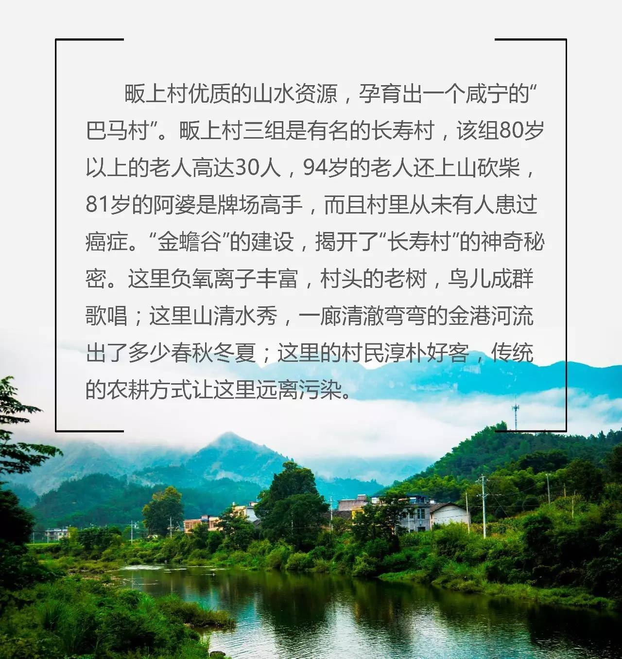 崇阳柃蜜小镇景点介绍图片