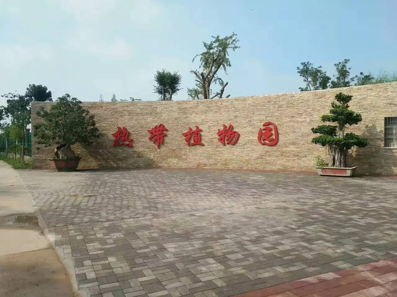临漳植物园图片