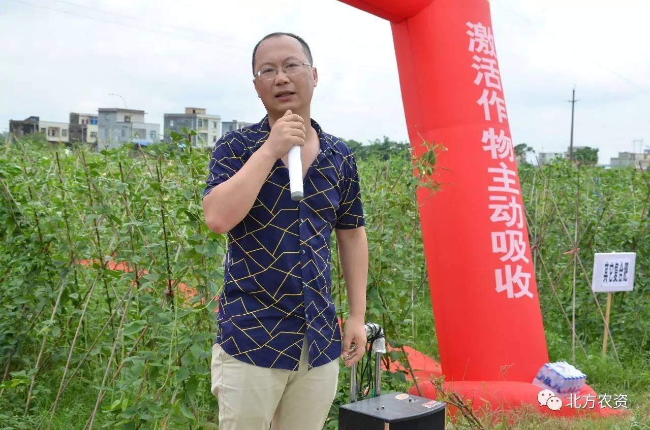 艾新帅讲解肥效种植大户拍摄豆角长势姚雄茂讲解肥效通过观摩,现场肥