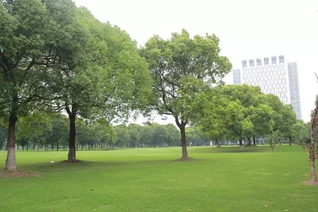 而在图书馆后的草坪上停放着的几架大飞机可是上海其他学校都没有的