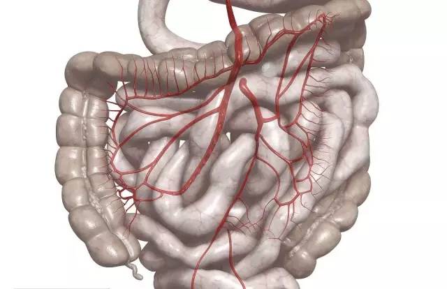 肠系膜血管冠心病最严重就是造成急性心肌梗塞,甚至猝死