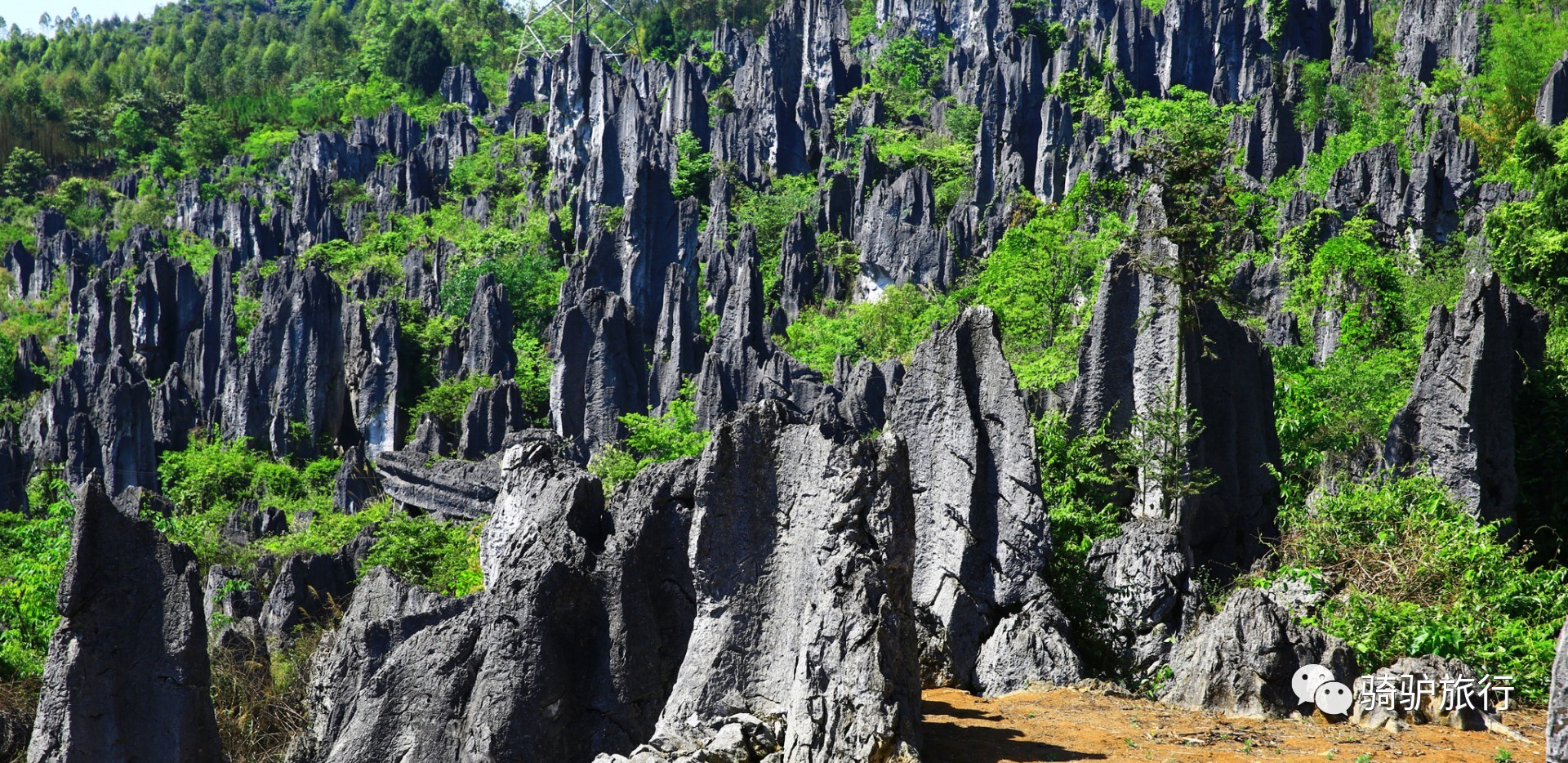 hawserli hawserli 贵州有一片石头组成的林子叫做 泥凼石林 石峰耸立