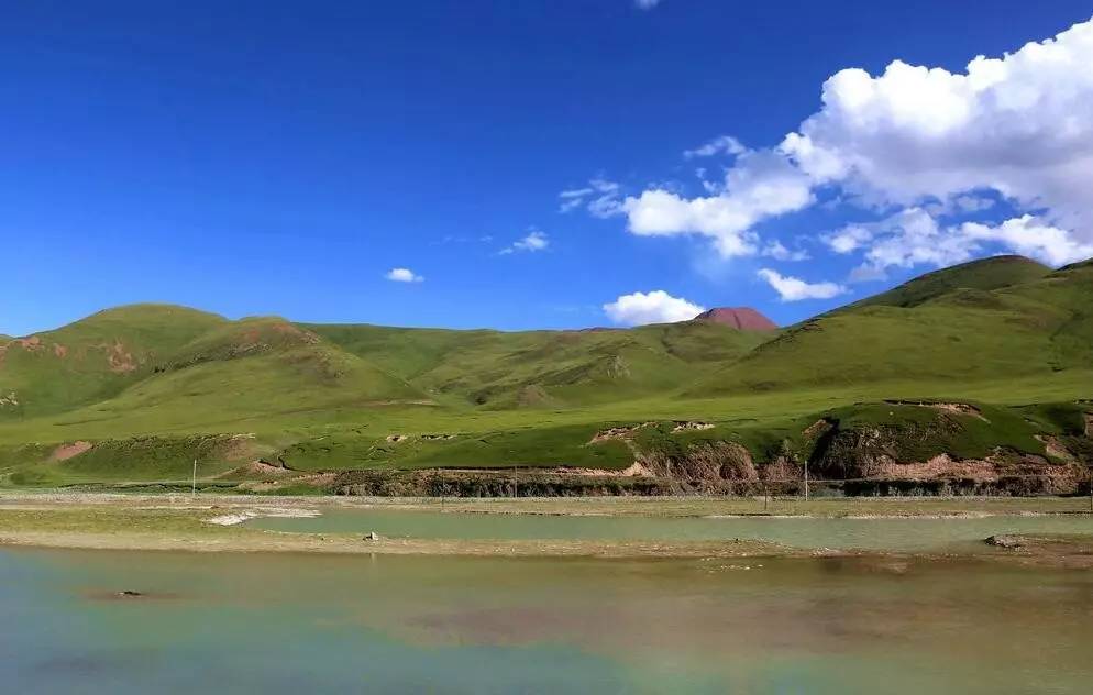 三江源區曾是野生動物種群繁多的高原草原草甸區_搜狐旅遊_搜狐網