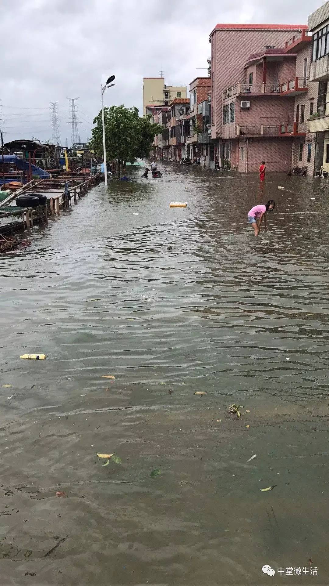 营口海水倒灌图片