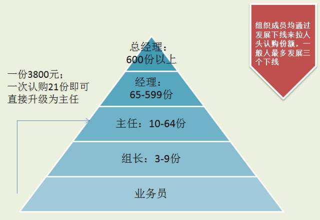 揭秘傳銷江湖的門派,現狀,分佈及資本化騙局升級