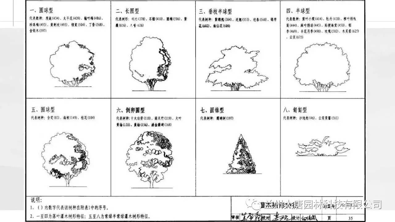 苗圃设计图手绘效果图图片