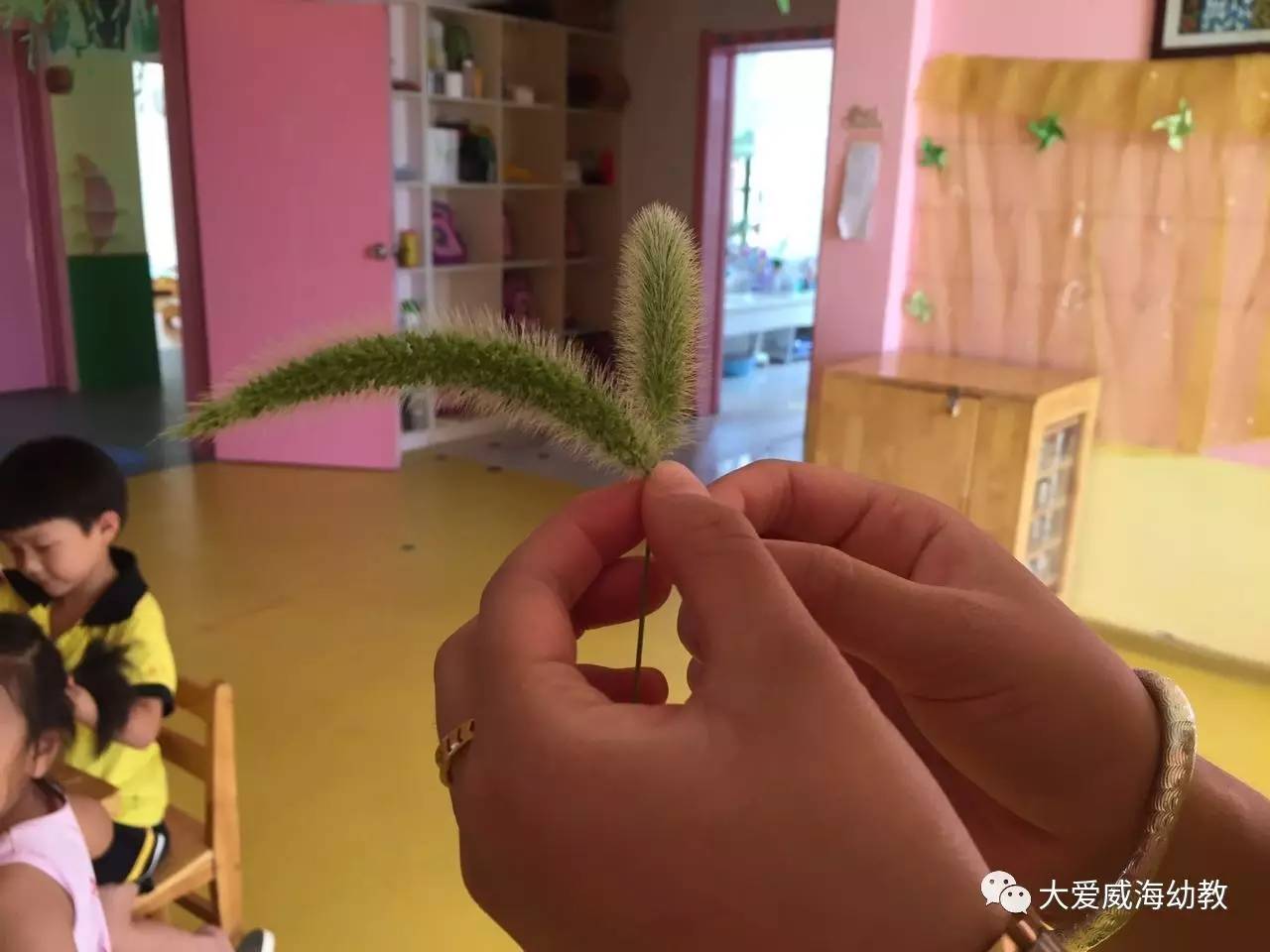 狗尾巴草编小动物步骤(狗尾巴草编小狗教程视频)