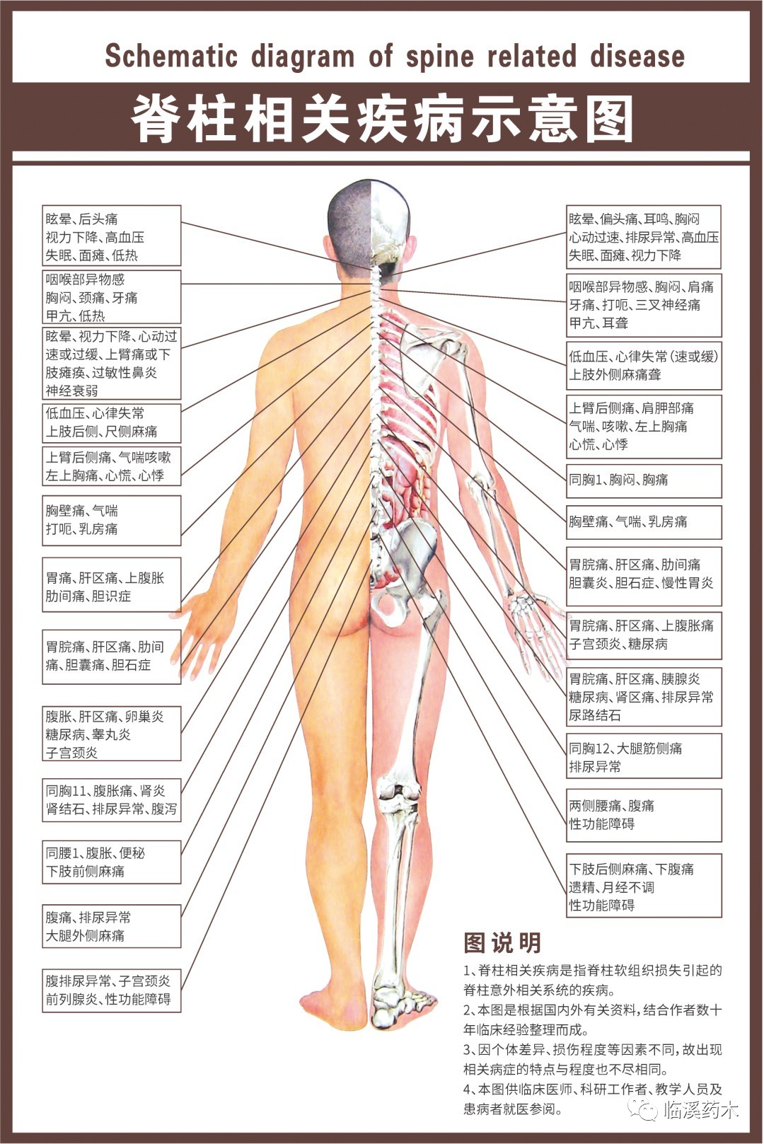 关爱脊柱健康暨无锡市脊椎健康筛查大行动