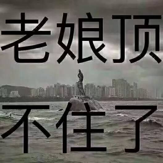 那些年错过的台风