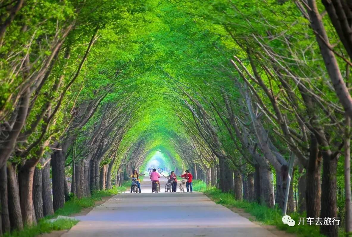 局长带您游邳州市旅游局刘美荣局长走进徐州交通广播诚邀车友自驾杏福