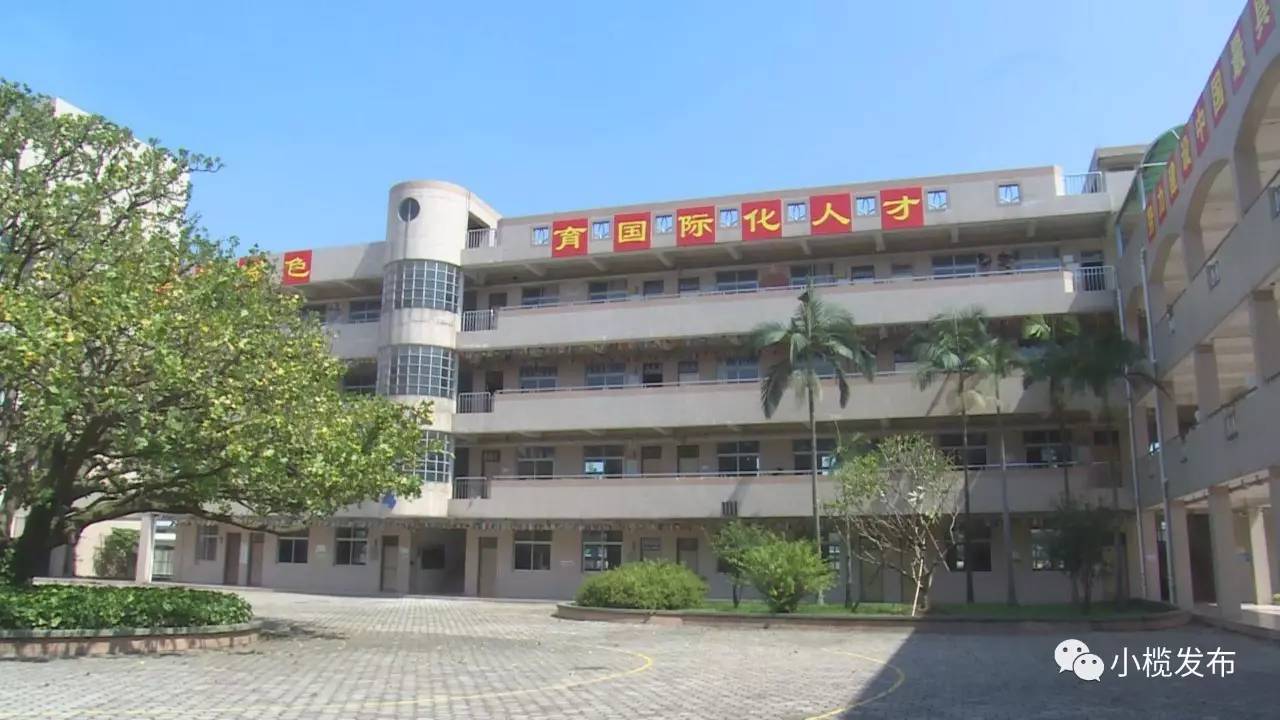 中山市小榄中学图片图片