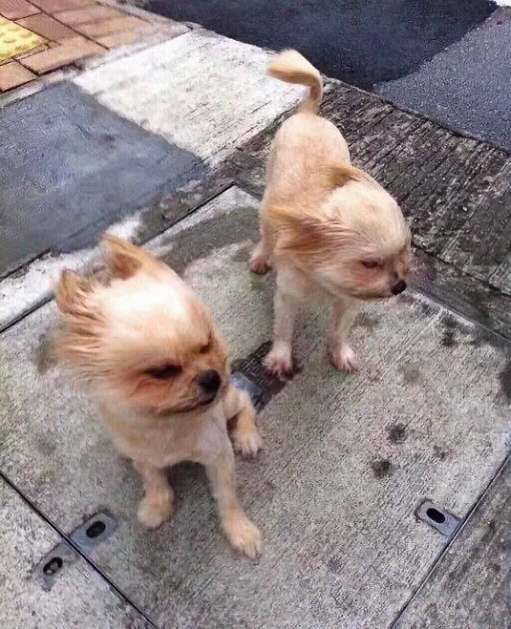 今年首個颱風紅色預警 12級颱風 大暴雨.