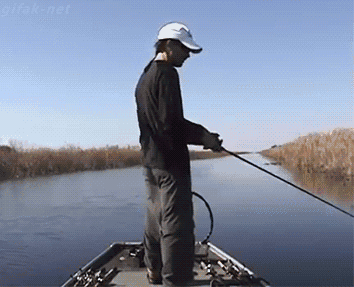 科技丨加拿大发明了一款诱鱼神器,造福了全球钓鱼人!