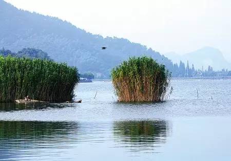 浙江這十個堪比油畫的絕美名湖,絕對可以和西湖媲美噢!