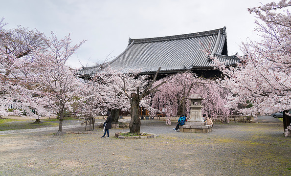 立本寺图片