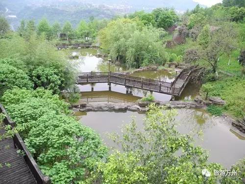 轄區旅遊資源豐富,中國九61五慘案紀念館坐落其中,太白巖山頂公園