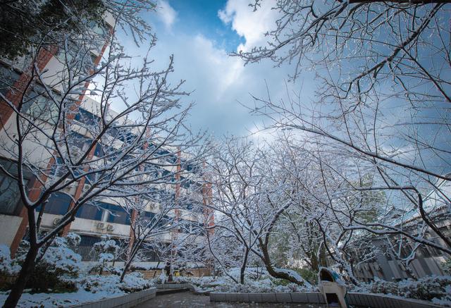 實拍重慶校園風景最美的5所大學最美的果然還是它