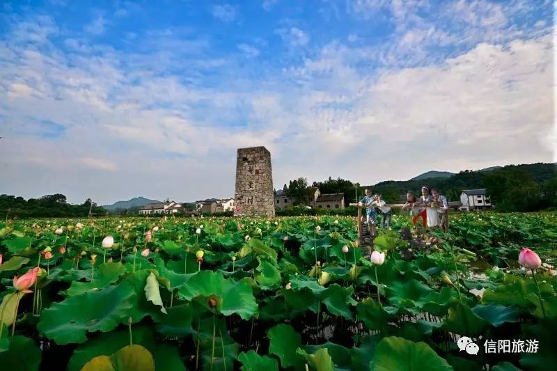 信陽大力發展鄉村旅遊,先後打造了平橋郝堂村,新縣西河村,田鋪大灣