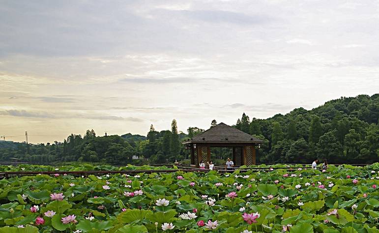 最具情調的生態公園——虎形山公園虎形山公園為衡陽市首個平戰結合的