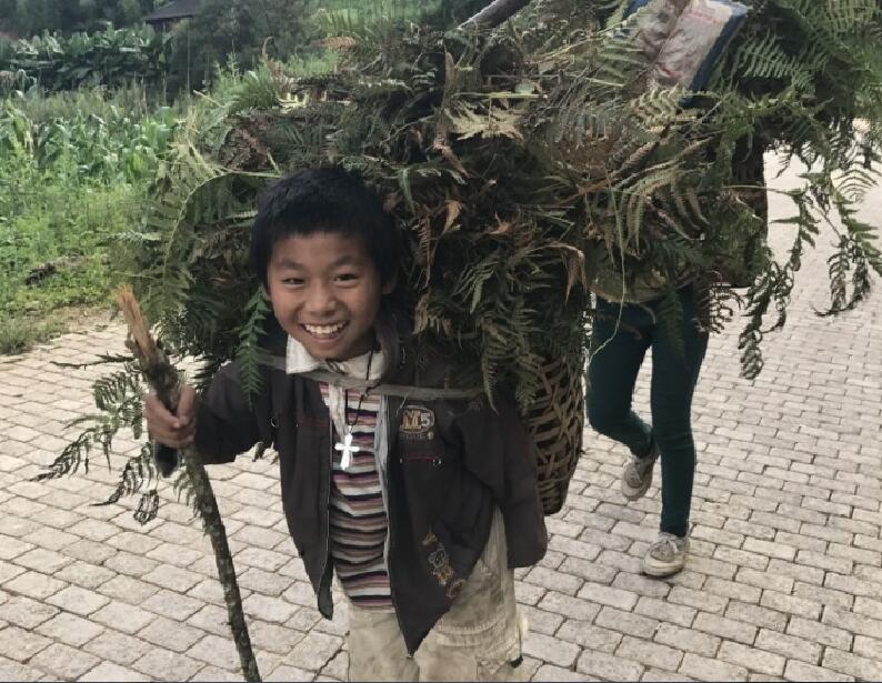 小孩背草图片图片