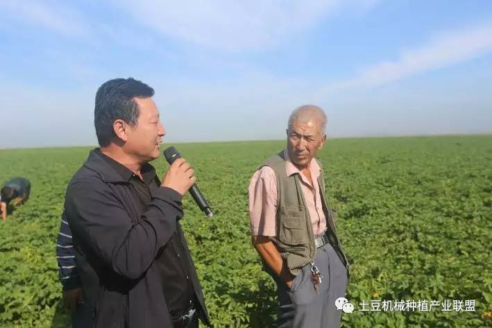 航拍希森3号田间检阅情况～王海涛告诉大家,这块地有50多亩,看目前的