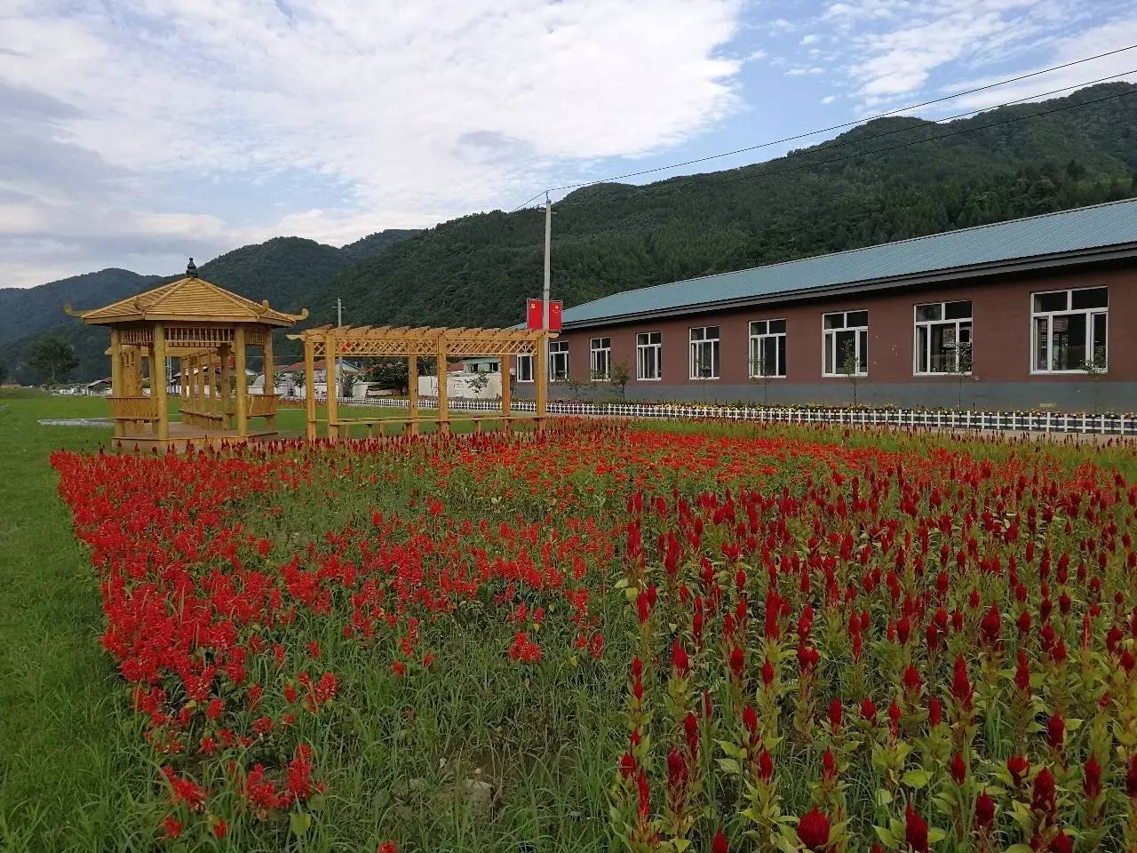 仙人桥镇全面推进"美丽乡村"建设