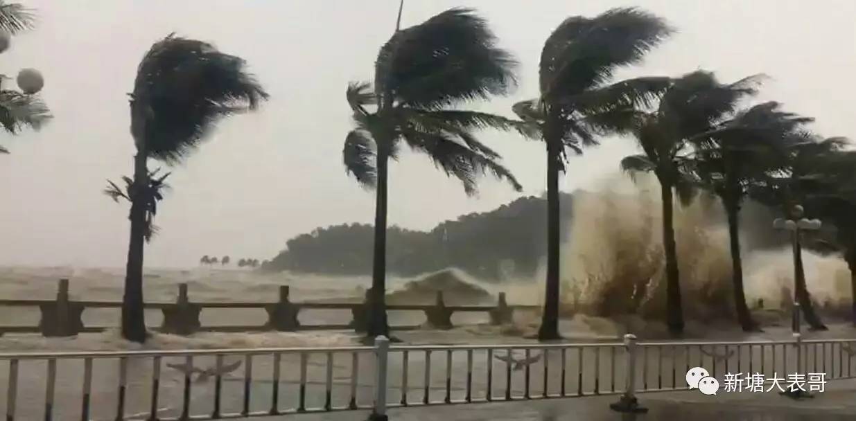 新塘迎大風暴雨!全城開啟