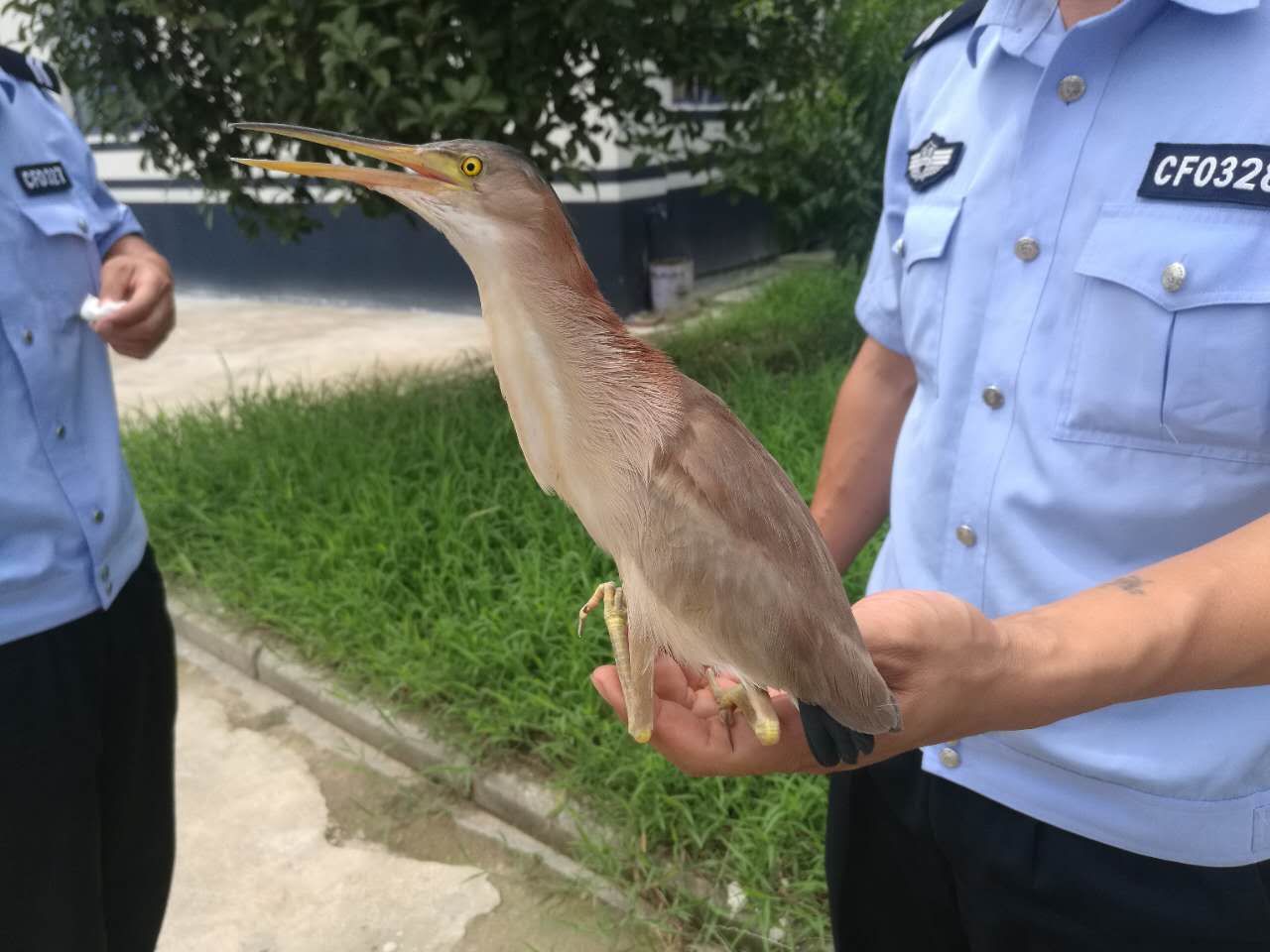 警法 正文 杜集乡旅游资源丰富,自然生态良好,其中杜集鸟岛更是闻名