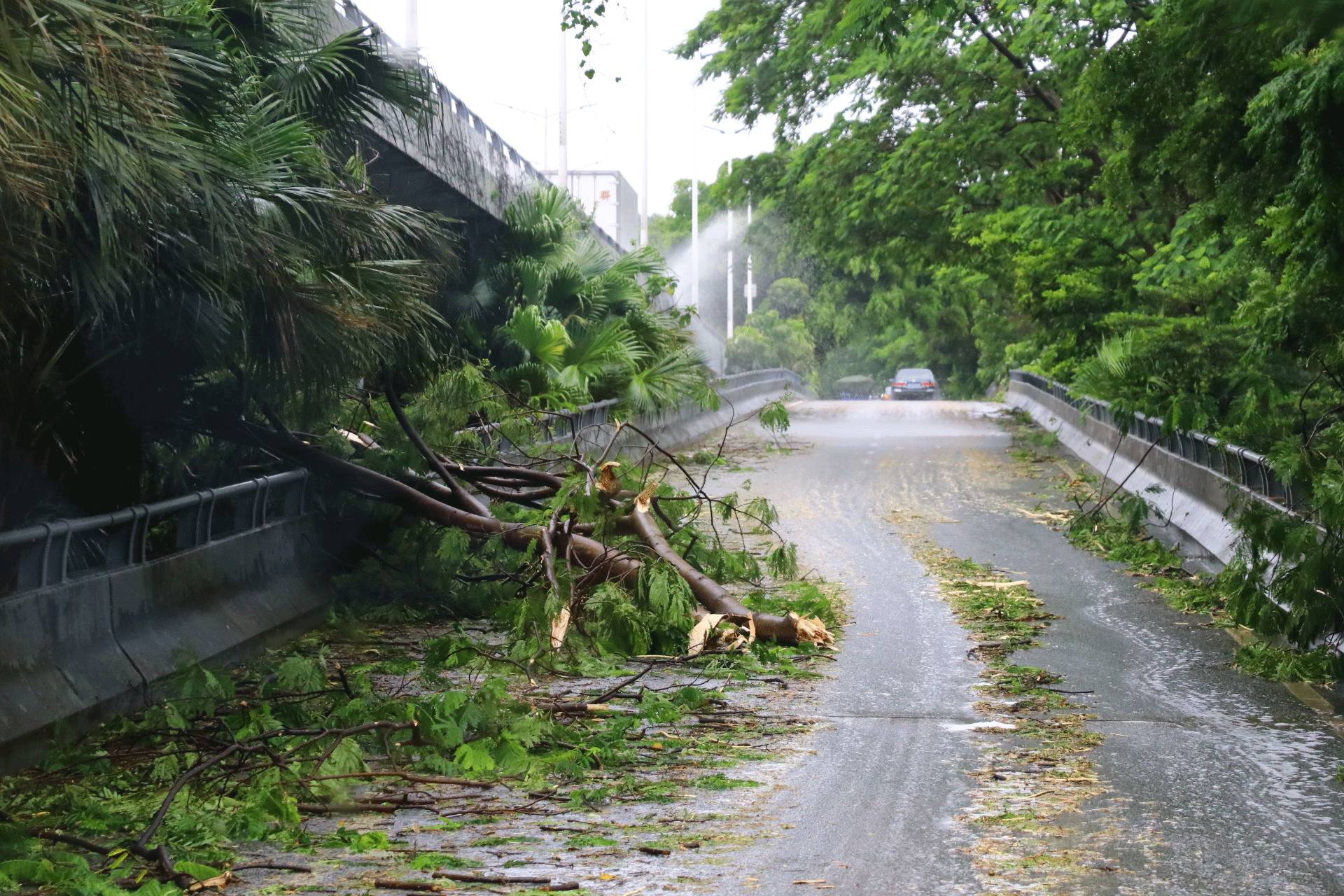 珠海台风天鸽图片